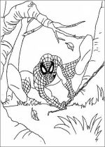 kolorowanki spiderman do druku online 3