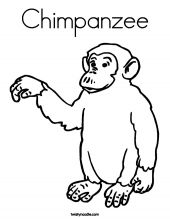 kolorowanki szympans do pobrania 