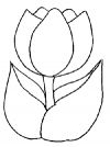 malowanki tulipany do druku online 1