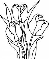 malowanki tulipany do druku online 
