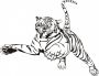 malowanki tygrysy do druku online 