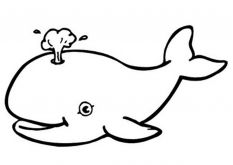 malowanki wieloryby do druku za darmo 