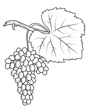 malowanki winogrona do druku 