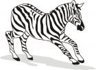 kolorowanki zebry do pobrania online 1