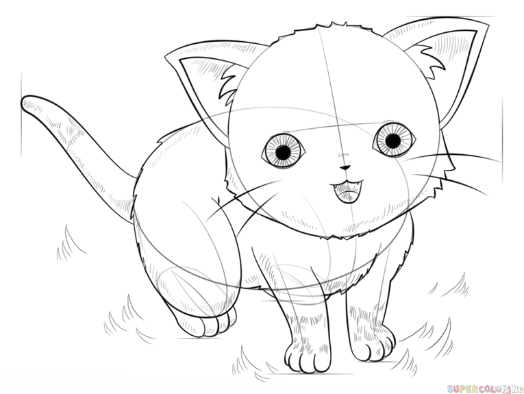 jak narysować kota animę krok 8