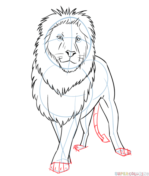 jak narysować lwa z bajki krok 6