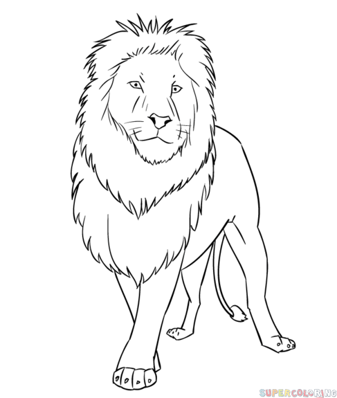 jak narysować lwa z bajki krok 7