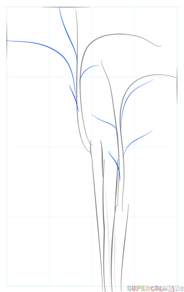 jak narysować bambusa krok 3