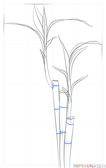jak narysować bambusa krok 6
