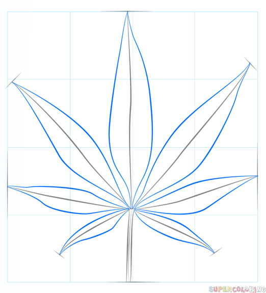 jak narysować liść drzewa krok 3