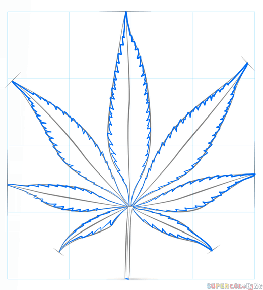 jak narysować liść drzewa krok 4