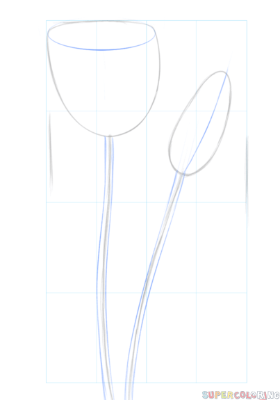 jak narysować tulipana krok 2