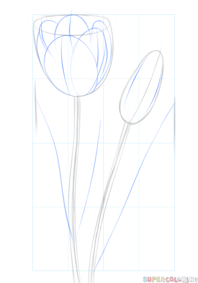 jak narysować tulipana krok 3