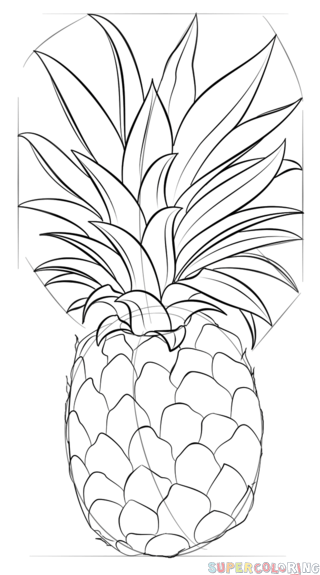 jak narysować ananasa krok 8