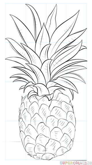 jak narysować ananasa krok 9