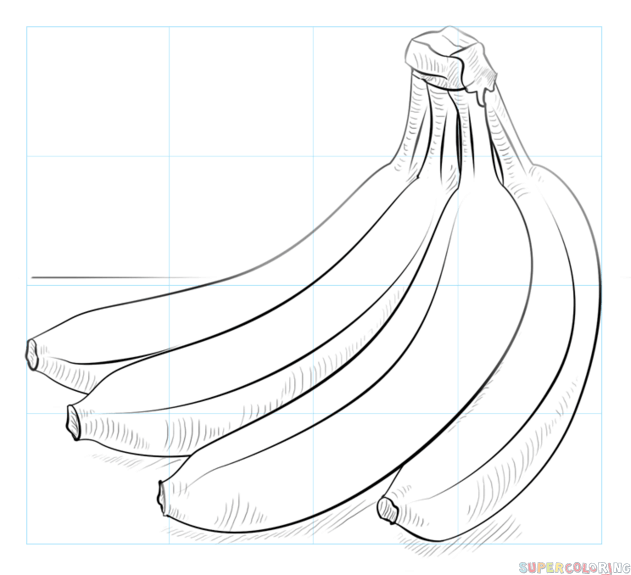 jak narysować kiść bananów krok 7