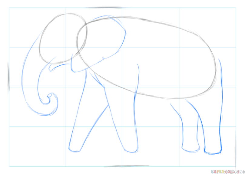 jak narysować afrykańskiego słonia krok 2