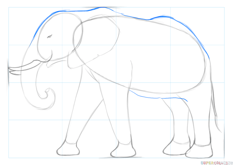 jak narysować afrykańskiego słonia krok 4