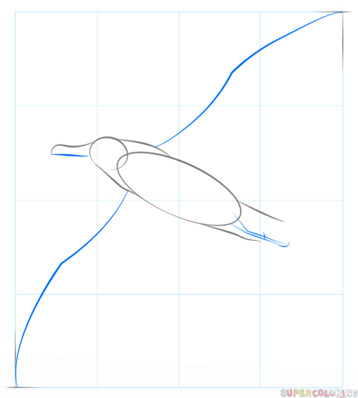 jak narysować albatrosa krok 3