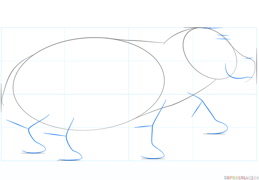 jak narysować hipopotama krok 3
