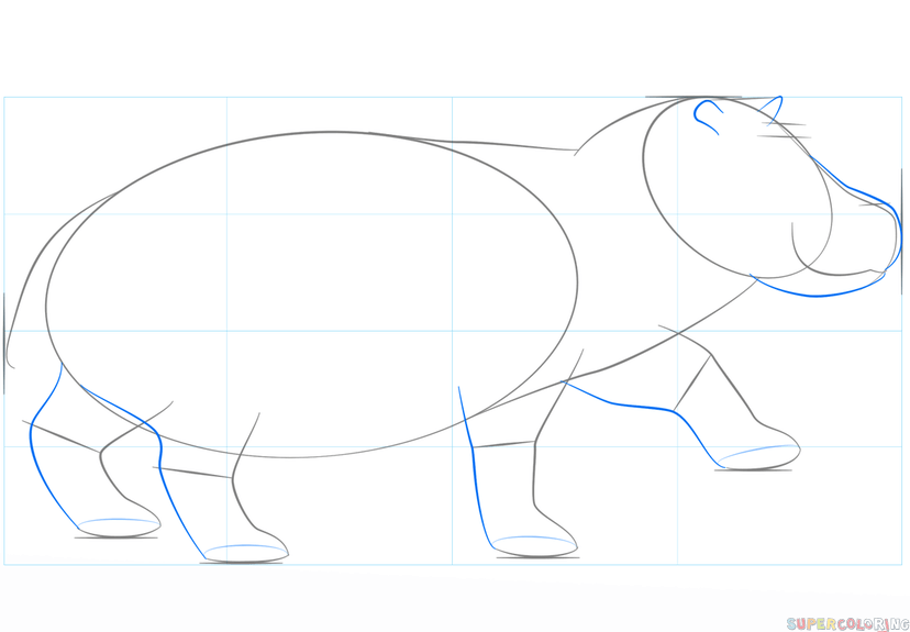 jak narysować hipopotama krok 4