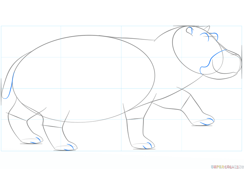 jak narysować hipopotama krok 5