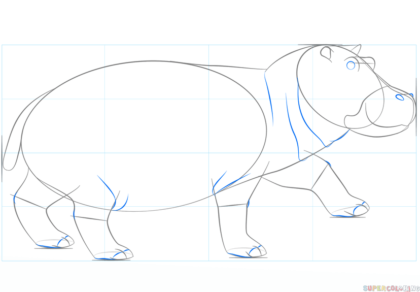 jak narysować hipopotama krok 6