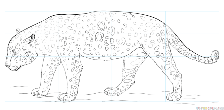 jak narysować jaguara