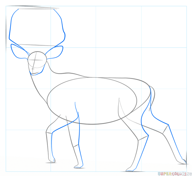 jak narysować jelenia krok 4