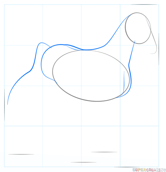 jak narysować konia arabskiego krok 2