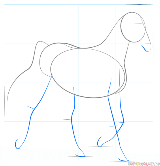 jak narysować konia arabskiego krok 3