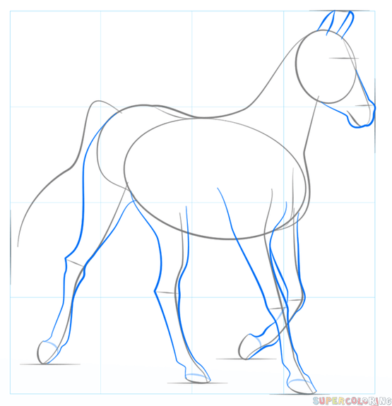 jak narysować konia arabskiego krok 4
