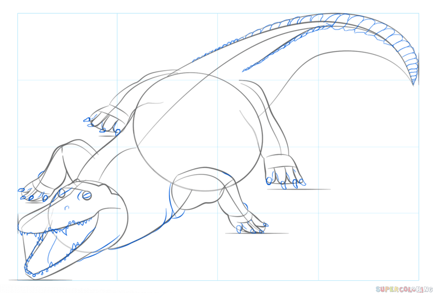 jak narysować krokodyla nilowego krok 7