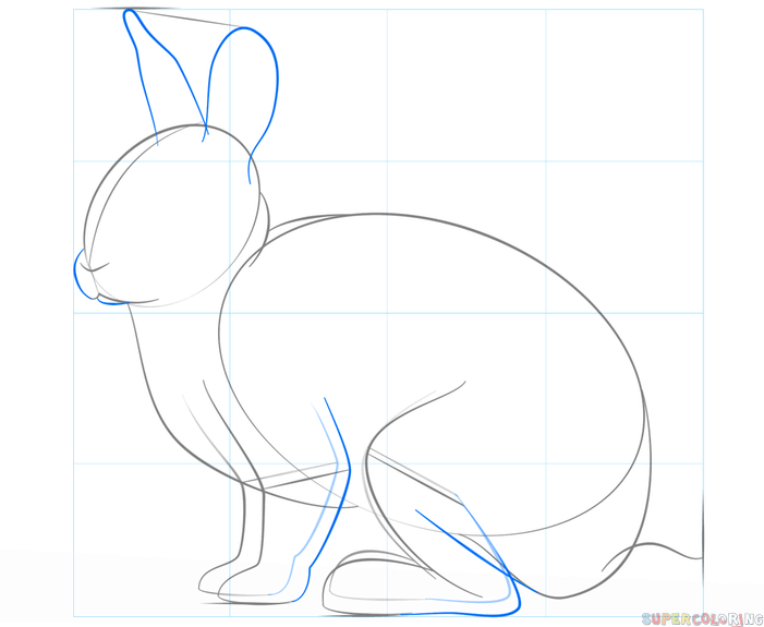 jak narysować królika krok 4
