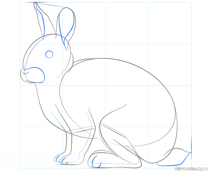 jak narysować królika krok 5