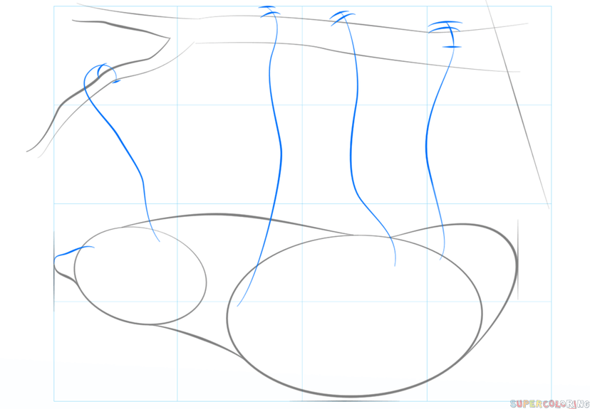 jak narysować leniwca krok 3