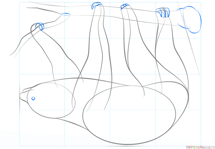 jak narysować leniwca krok 5