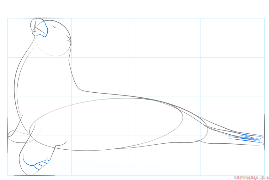 jak narysować lwa morskiego krok 5