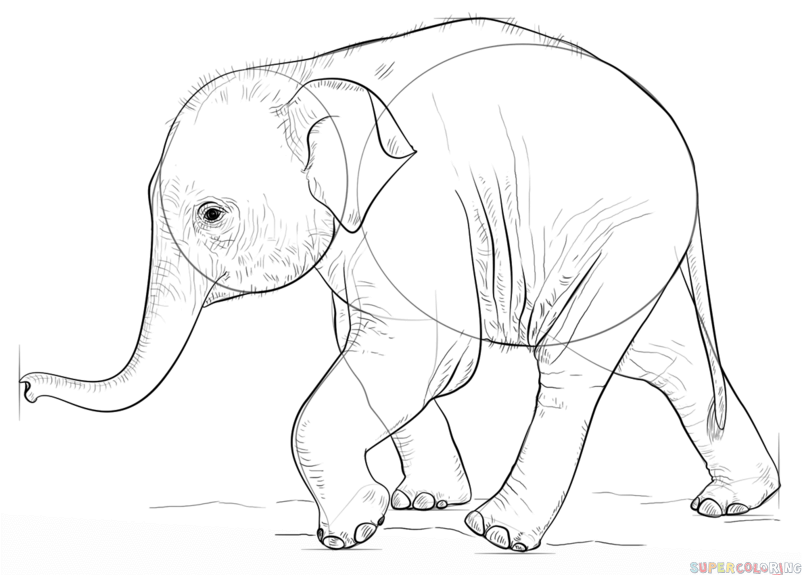 jak narysować małe słoniątko krok 7