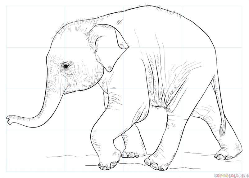jak narysować małe słoniątko krok 8