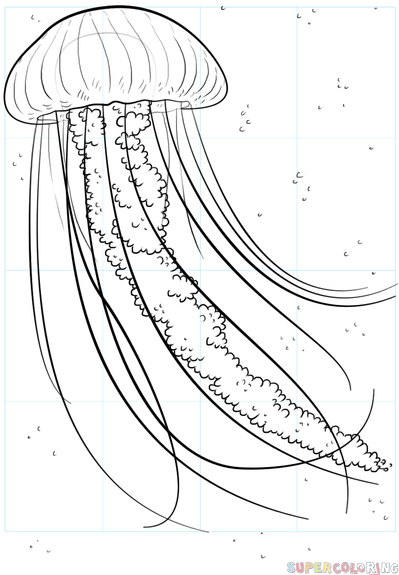 jak narysować meduzę