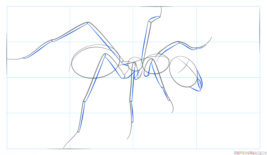 jak narysować mrówkę krok 4