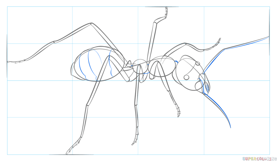 jak narysować mrówkę krok 7