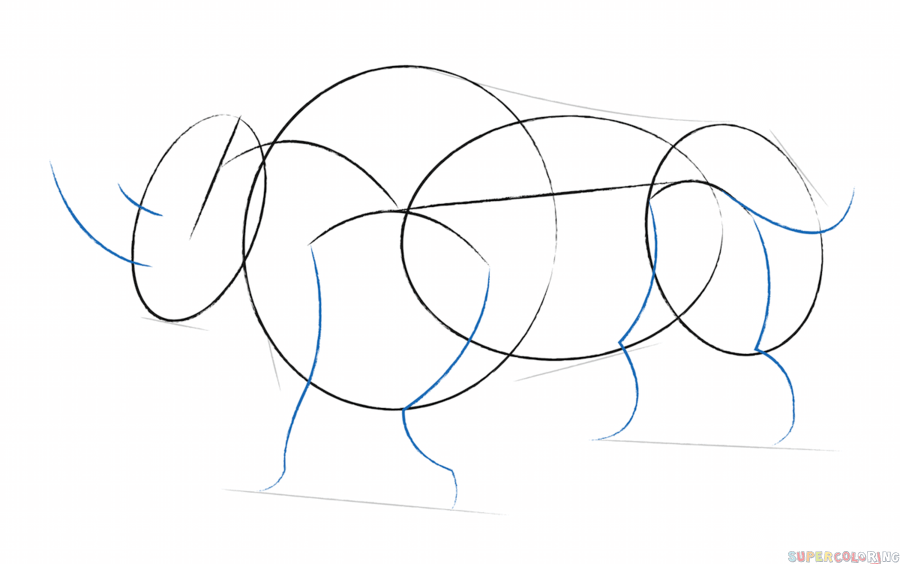 jak narysować nosorożca krok 2