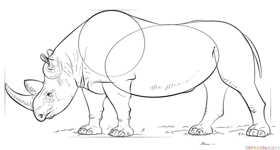 jak narysować nosorożca krok 8
