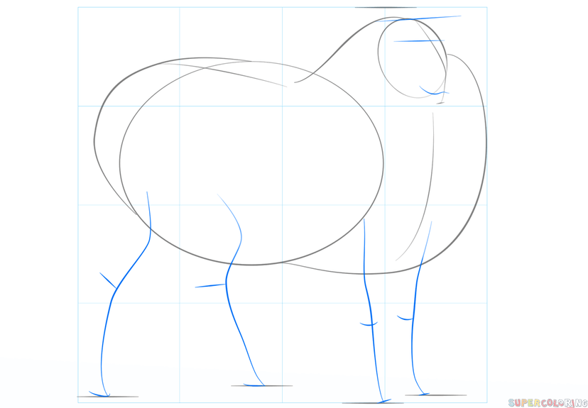 jak narysować owcę krok 3