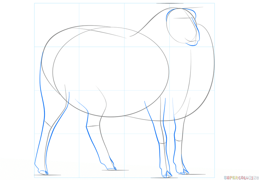jak narysować owcę krok 4