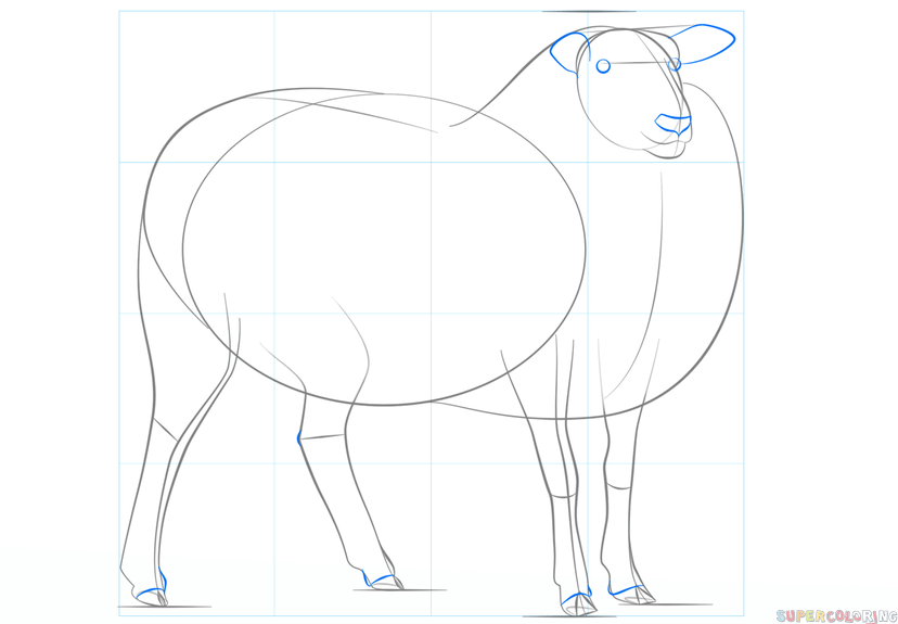 jak narysować owcę krok 5