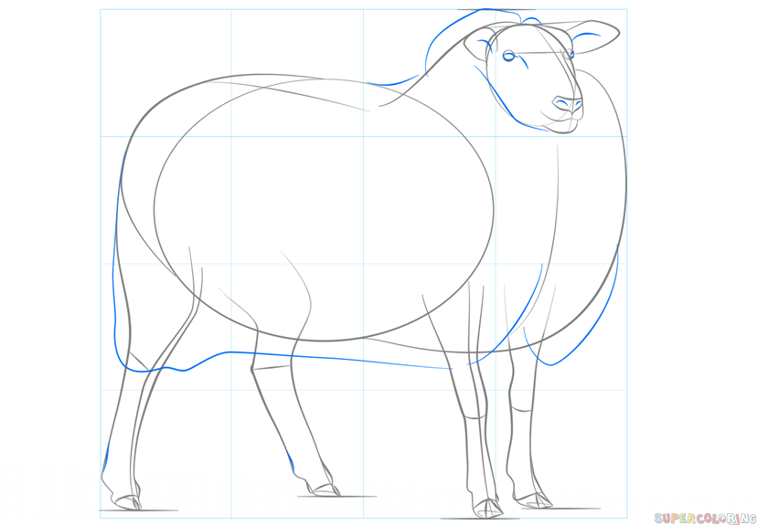 jak narysować owcę krok 6
