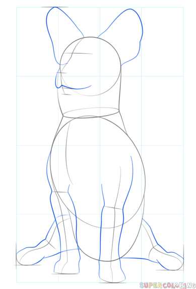jak narysować psa corgi krok 4
